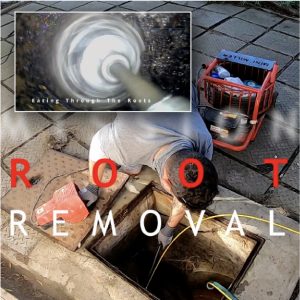 Drain Cleaning - Root Removal